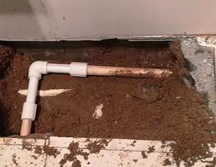 青县测漏水哪家好