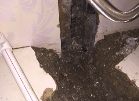 青县卫生间测漏水哪家好