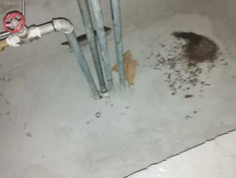 青县卫生间测漏水价格明细